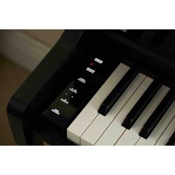 Casio AP-750 BK Smart Hybrid Celviano